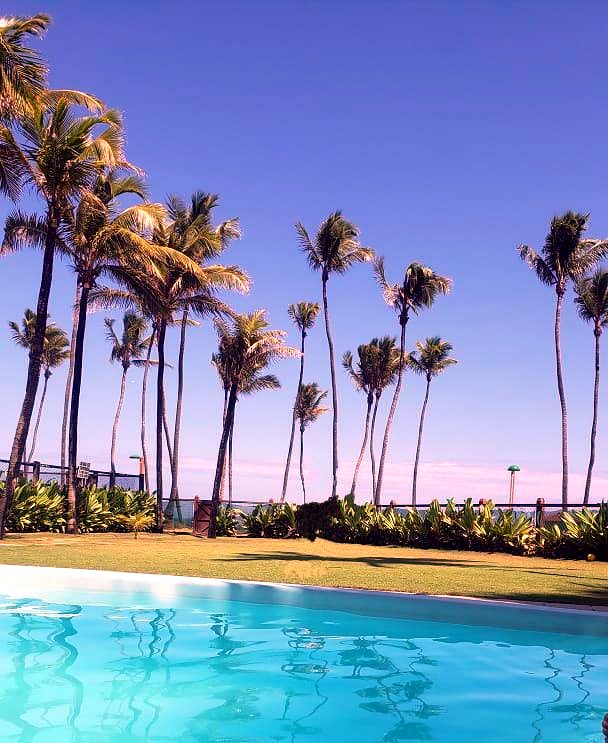 Piscina e coqueiros com vista para o mar